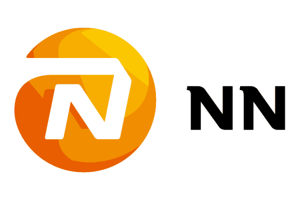 nn-group-n-v-logo-vector